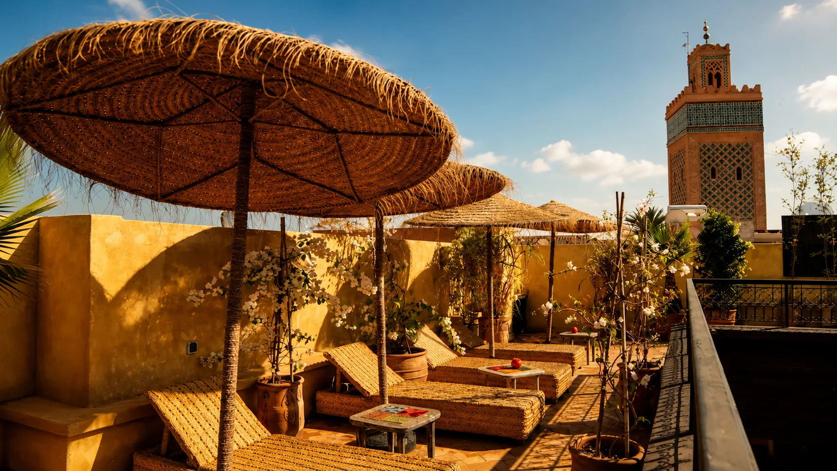 The rooftop terrace in the morning